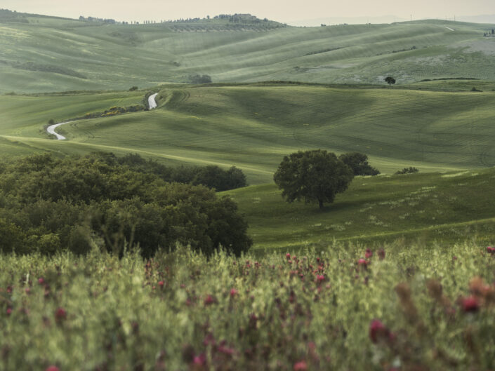 ITALY - Tuscany